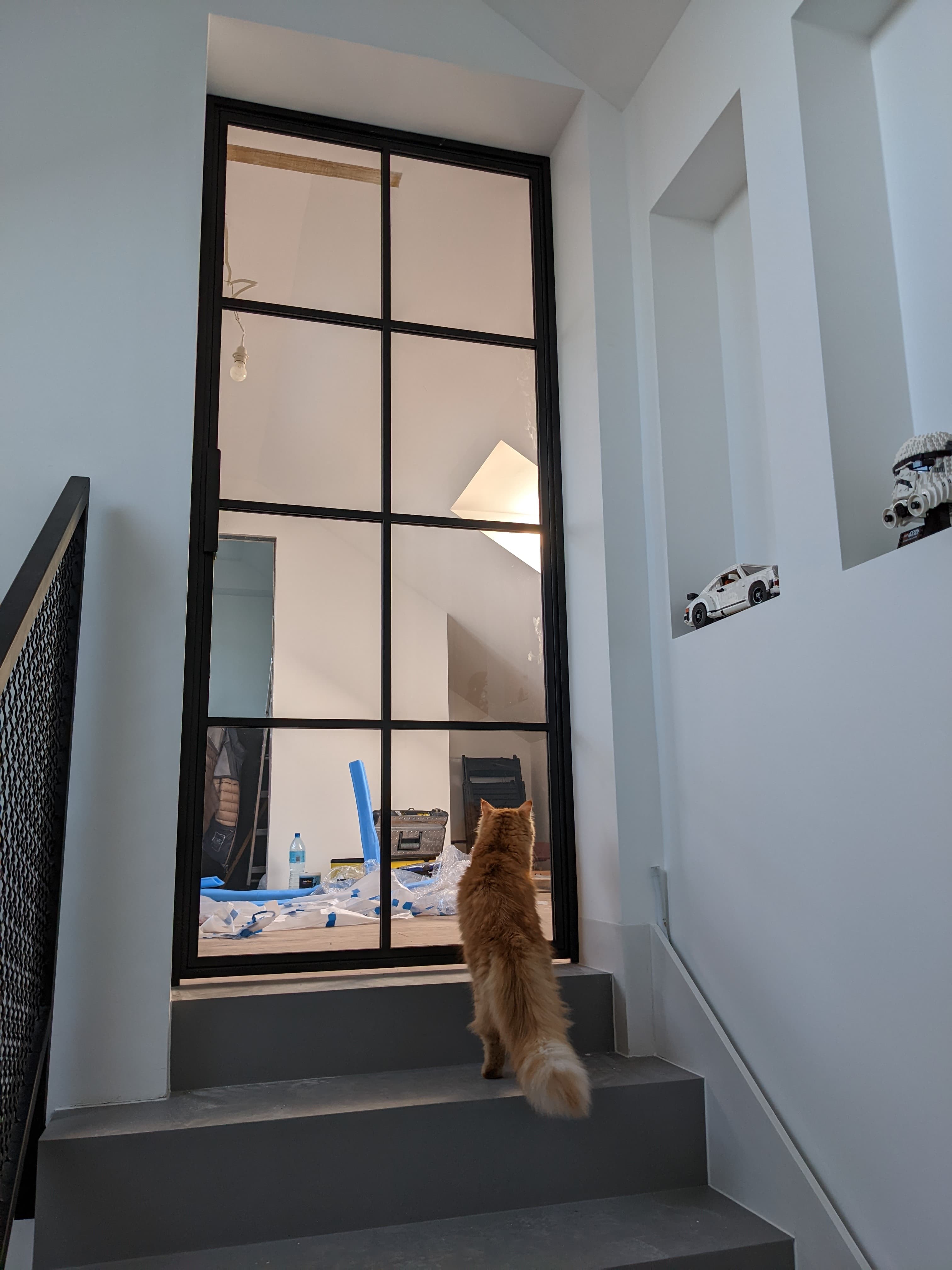 steel crittal doors