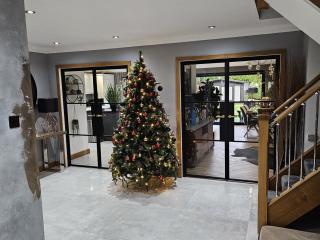 Christmas steel doors